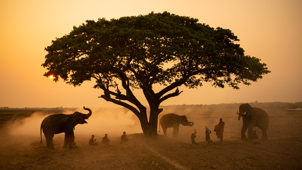 Staying Strong in a Fragile World: The UN’s 2024 Risk Map