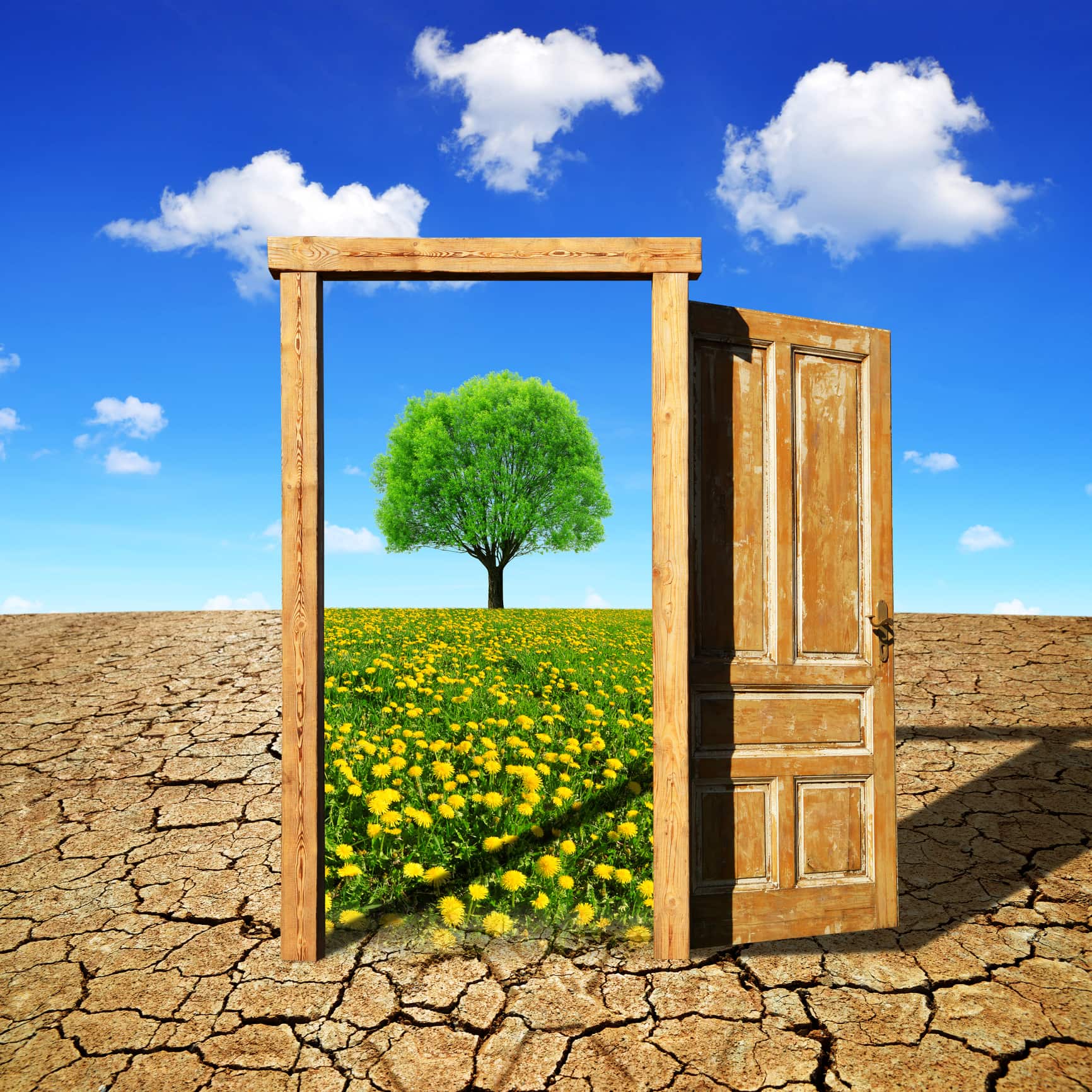 Social Impact: Leadership That Shapes the Future